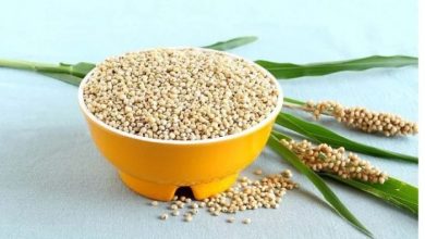 Photo of ज्वार से बढ़ेगी प्रतिरक्षा: अध्ययन