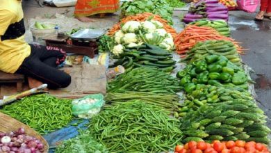 Photo of दिल्‍ली-NCR में भी और महंगा हो सकता है टमाटर और हरी सब्जियां , जानिए क्‍या है इसकी बड़ी वजह
