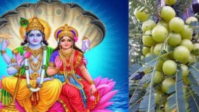Photo of जानिए क्या है आंवला नवमी व्रत की कथा और पूजन विधि