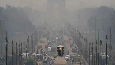 Photo of प्रदूषण से बचाव के लिए इन फूड्स का सेवन करने से हमेशा हेल्दी रहेंगे आपके लंग्स