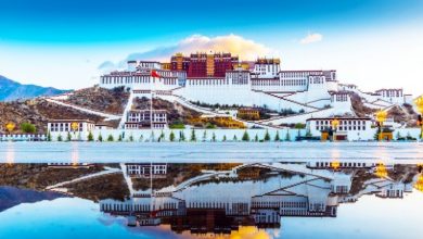 Photo of बहुत ही खूबसूरत है तिब्बत की पहाड़ियों पर बना हुआ पोताला पैलेस