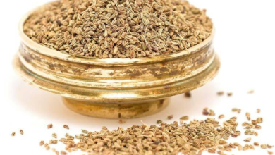 Photo of सर्दियों में अजवाइन का जरूर करें सेवन, मिलेंगे ये जबरदस्त फायदे