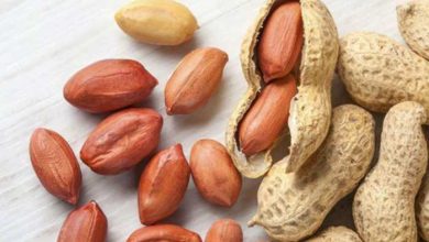 Photo of जाने सर्दियों में मूंगफली खाने के ये 5 बड़े फायदो का बारे में….