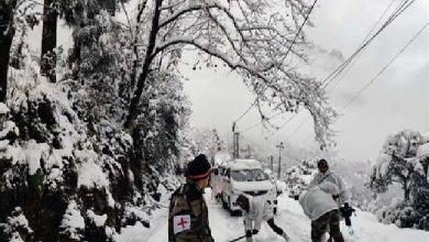 Photo of उत्तरी भारत के मैदानी इलाकों में बर्फीली हवाओं का दौर हुआ शुरू, हिमाचल प्रदेश में छह स्थानों पर जमाव बिंदु से नीचे तापमान…