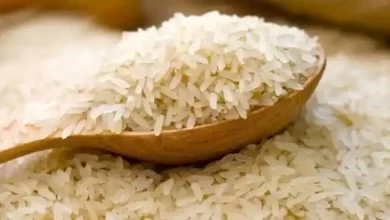 Photo of जाने क्यों नहीं खाना चाहिए एकादशी के दिन चावल