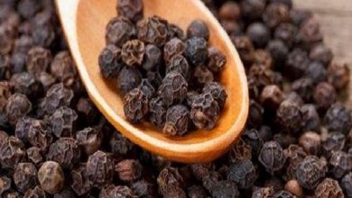 Photo of सेहत के लिए बेहद फायदेमंद है काली मिर्च का तेल,जानिए इसके गजब के लाभ
