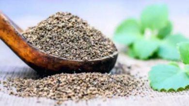 Photo of अजवाइन खाने से इन बीमारियों से मिलता है छुटकारा
