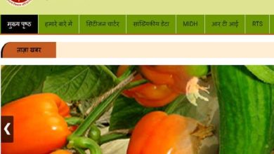 Photo of हरियाणा उद्यान विभाग दे रहा है फूड प्रॉसेसिंग यूनिट के लिए चार दिन का प्रशिक्षण,जानिए कैसे करें आवेदन 