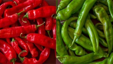 Photo of जानिए हरी या लाल कौन सी मिर्च होती है सेहत के लिए बेस्ट
