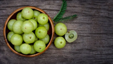 Photo of एसिडिटी में आजमाए ये घरेलू उपाय, हाजमा रहेगा दुरुस्त