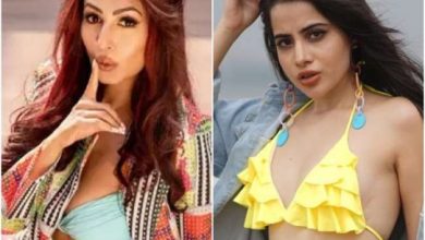 Photo of उर्फी जावेद और फराह खान की जंग में कूदी कश्मीरा शाह, इस एक्ट्रेस को लगाई फटकार