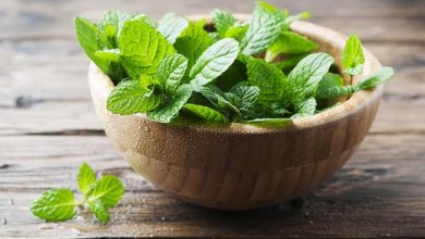 Photo of शरीर को कई समस्याओं से राहत देने का काम आता है पुदीना