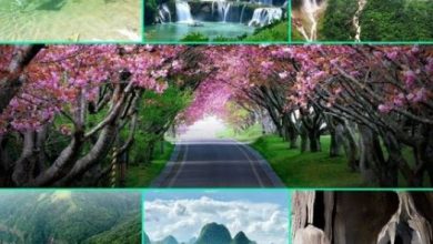 Photo of अगर आप गर्मियों के मौसम में परिवार संग घूमने का प्लान बना रहे हैं तो ये 5 जगह होंगी सबसे बेस्ट