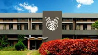 Photo of NAARM में इस पद पर निकाली गई भर्ती, करे आवेदन