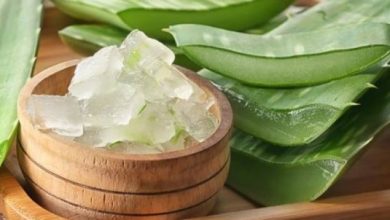 Photo of औषधीय गुणों के साथ-साथ त्वचा को ग्लोइंग बनाने में मदद करता है एलोवेरा