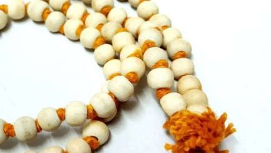 Photo of जानिए तुलसी की माला पहनने के नियम….