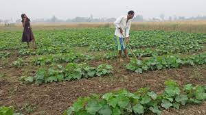Photo of एक महीने के लंबे इंतजार के बाद पीएम किसान के लाभार्थियों के खाते में क्रेडिट होंगे 2000 रुपये, अभी चेक करें अपना स्टेटस