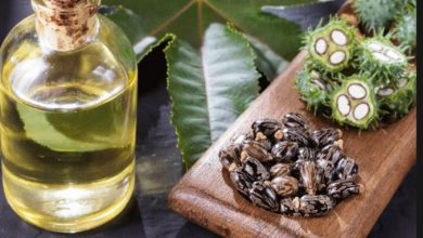Photo of घनी आईलैशेज के लिए कैस्टर ऑयल का इस तरह करें इस्तेमाल