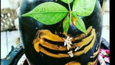 Photo of गंभीर बीमारियों से छुटकारा पाने के लिए बेलपत्र से करें यह उपाय