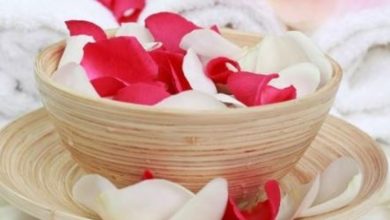 Photo of एलोवेरा जेल में मिलाकर लगाए ये चीज, चेहरा हो जायेगा चमकदार