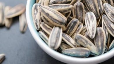 Photo of इस फूल के बीज ब्‍ल्‍ड शुगर कर सकते हैं कंट्रोल, जानिए चौकाने वाले फायदे