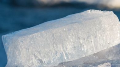 Photo of मुंह के छालों से हैं परेशान तो अजमाए ये आसान घरेलू नुस्खे