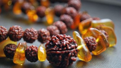 Photo of सावन के महीने में इस तरह धारण करें रुद्राक्ष, हर समस्या हो जाएगी दूर