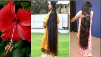 Photo of कमर तक लंबे बाल चाहिए तो अपनाये ये घरेलू नुस्खा