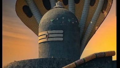 Photo of सावन के माह में दिखे यह सपना तो भोलेनाथ की हैं कृपा