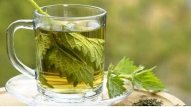 Photo of कुछ ही दिनों में वजन कम कर देगी ये ख़ास चाय, इस तरह करें तैयार