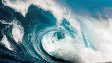 Photo of आंध्र प्रदेश: समुद्री लहर की चपेट में आने से तीन छात्रों की मौत