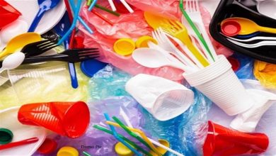 Photo of सिंगल यूज प्लास्टिक उत्पादों पर पर्यावरण विभाग ने जारी की प्रतिबंधित वस्तुओं की सूची