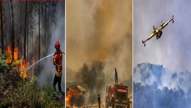 Photo of भारत के कई राज्‍य जहां बाढ़ से परेशान हैं वहीं यूरोप में इन दिनों गर्मी से बेहाल हुए लोग