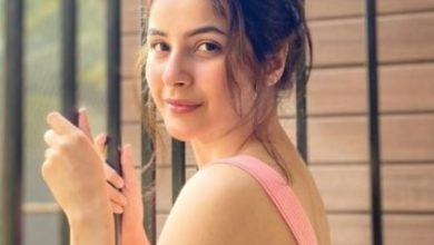 Photo of शादी को लेकर शहनाज गिल ने कही ये बड़ी बात