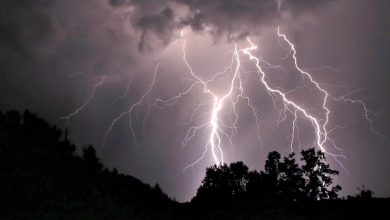 Photo of मध्यप्रदेश में आकाशीय बिजली गिरने से 11 लोगों की दर्दनाक मौत