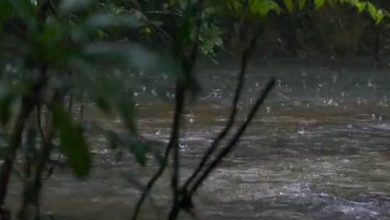 Photo of पाकिस्तान के बलूचिस्तान में लगातार हो रही बारिश में 25 की मौत, 200 से अधिक घर क्षतिग्रस्त…  