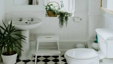 Photo of बाथरूम में रखी ये चीजें बनती हैं वास्‍तुदोष का कारण￼