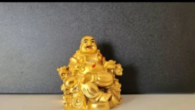 Photo of आप भी पाना चाहते है करियर में सफलता, तो अपनाएं ये  फेंगशुई उपाय