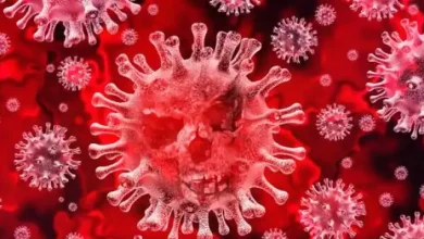 Photo of पिछले 24 घंटे में देश में आए कोरोना के 7,135 नए मामले￼
