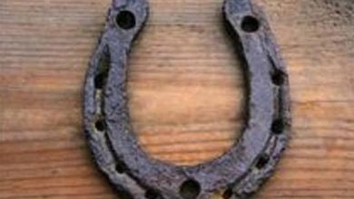 Photo of काले घोड़े की नाल को घर में रखने के फायदे￼