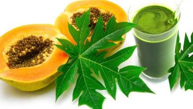 Photo of जानें पपीते के पत्ते के जूस से होने वाले कमाल के फायदे￼