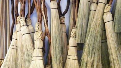 Photo of जानें तीन झाड़ू एक साथ खरीदने के फायदे￼