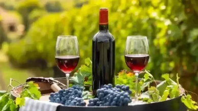 Photo of रेड वाइन पीने के होते हैं जबरदस्त फायदे￼