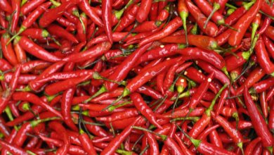 Photo of व्यापार को बढ़ाने के लिए करें लाल मिर्च का ये उपाय