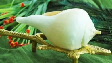 Photo of जान ले घर में शंख रखने से होने वाले कमाल के फायदे￼