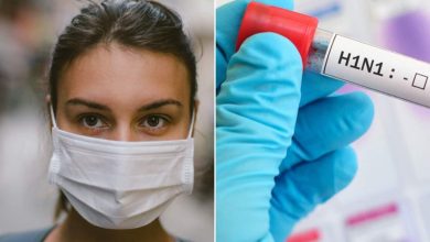 Photo of केरल में सामने आए स्वाइन फ्लू के मामले, 15 सूअरों की मौत
