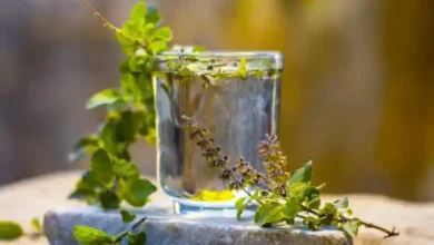 Photo of जाने तुलसी के लाभ