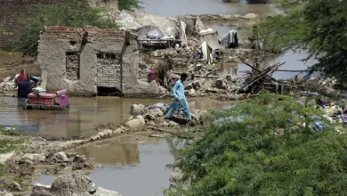 Photo of बाढ़ से तबाह हो रहा पकिस्तान, 1186 लोग गवा चुके अपनी जान
