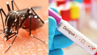 Photo of डेंगू के आतंक से अगर परेशान है आप , तो आजमाएं ये तरीके