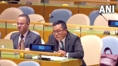 Photo of भारत ने एक बार फिर पाकिस्तान को लगाई  लताड़, पढ़े पूरी ख़बर